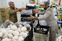 قیمت جدید میوه و سبزیجات؛ قارچ به کیلویی 250 هزار تومان رسید