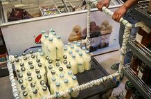 بازگشت شیرهای فروش‌نرفته به کارخانه‌ها