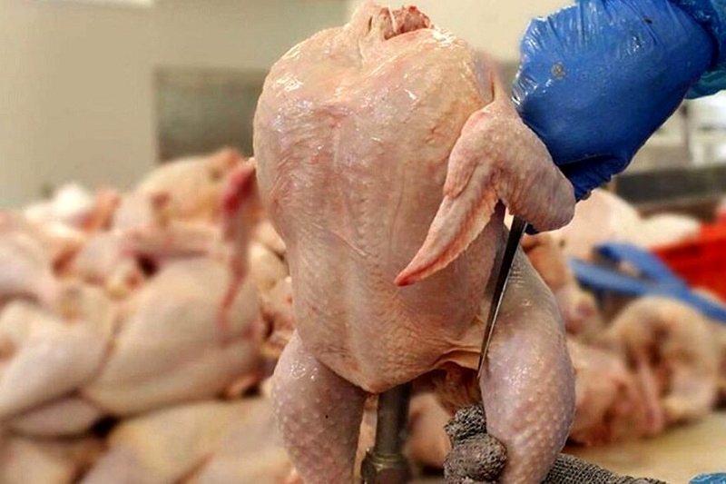 قیمت دستوری مرغ دردسرساز شد