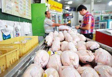 قیمت گوشت مرغ امروز ۲۲ اردیبهشت ۱۴۰۳