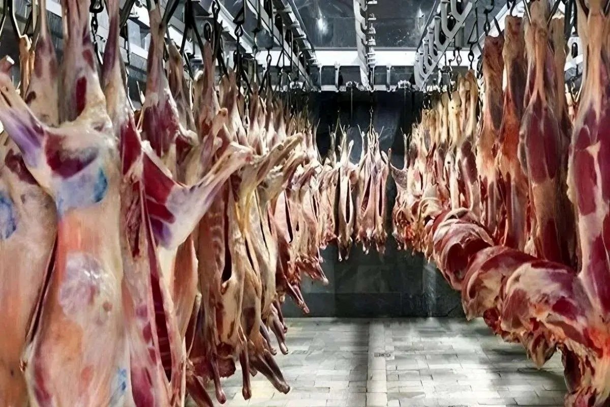 قیمت گوشت امروز ۲۱ شهریور/ راسته گوسفندی بیش از یک میلیون!