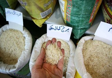علت کاهش قیمت برنج ایرانی مشخص شد