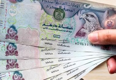 قیمت درهم امارات امروز 3 مرداد / درهم گران شد