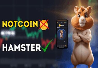جزئیات تفاوت نات کوین با ارز همستر 