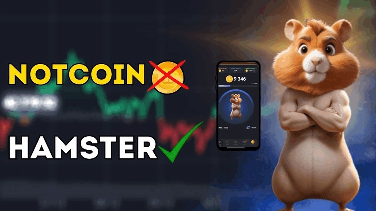 جزئیات تفاوت نات کوین با ارز همستر 