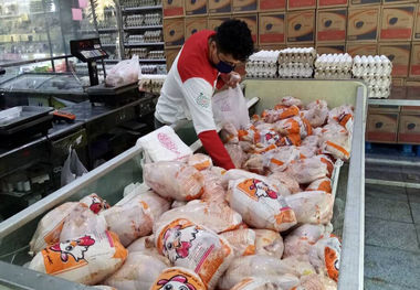 قیمت گوشت مرغ  امروز ۱ اردیبهشت ۱۴۰۳