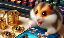 خبر خوش تیم همستر کامبت برای همستربازان