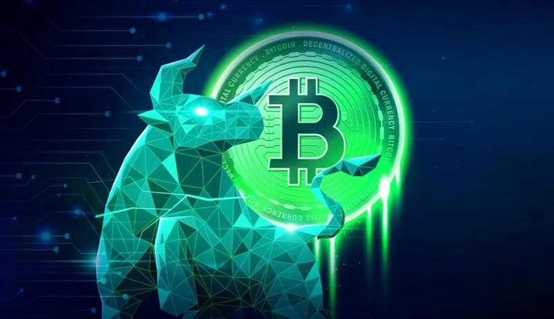 آغازی برای یک رالی گاوی عظیم