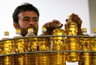 هشت دلیل افزایش قیمت روغن در بازار