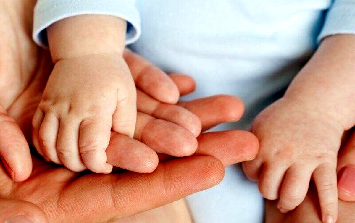  خرید و فروش تخمک 17 تا 20 میلیون