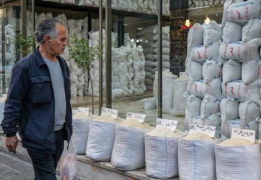 قیمت برنج پاکستانی و هندی امروز یکشنبه 24 فروردین 1404/ برنج محسن کیلویی چند>