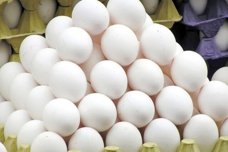 قیمت تخم مرغ امروز ۱۹ تیر/ شانه تخم مرغ چند؟