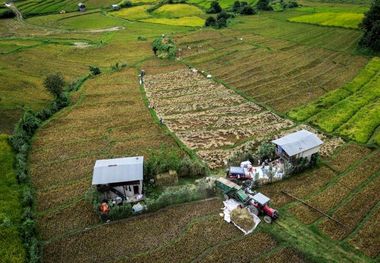 صفر تا 100 دریافت سند رسمی برای زمین کشاورزی