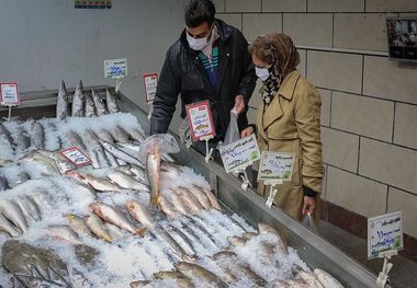 زمان اجرای مرحله جدید کالابرگ الکترونیک مشخص شد