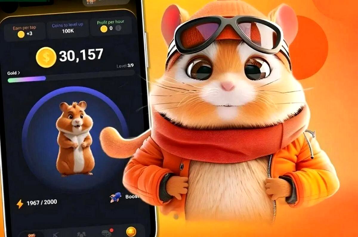 کارت های امروز همستر 11 تیر مشخص شد + (عکس)