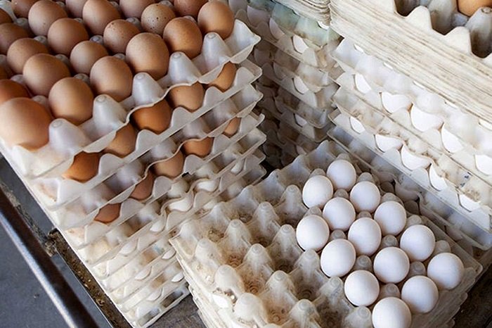 قیمت تخم مرغ امروز 16 تیر/ تخم مرغ شانهای چند فروش میرود؟