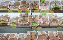 قیمت عجیب مرغ در بازار