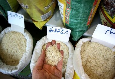 قیمت برنج امروز ۲۰ اردیبهشت ۱۴۰۳ 