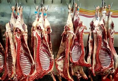 گوشت قرمز ۲۹۹ هزار تومانی وارد بازار شد
