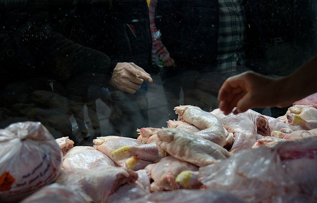 نمود کاهش قیمت مرغ در تورم دهک‌ها