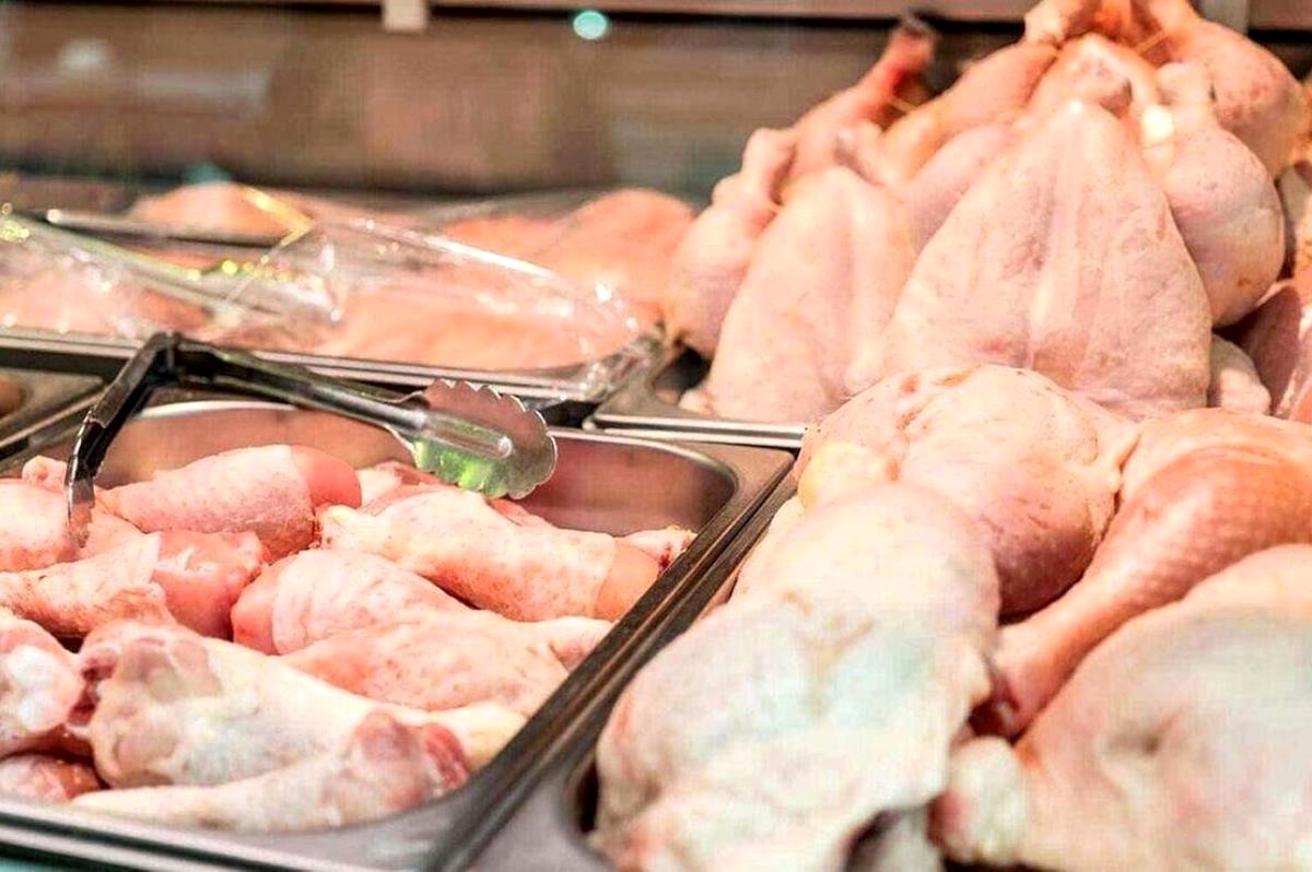 قیمت مرغ امروز شنبه ۱۳ مرداد/ مرغ ارزان شد