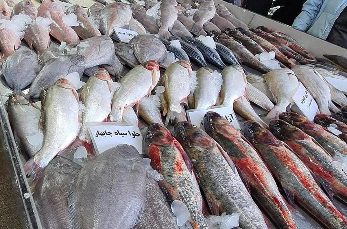 قیمت ماهی امروز ۱۷ تیر/ قزل‌آلا کیلویی چند؟