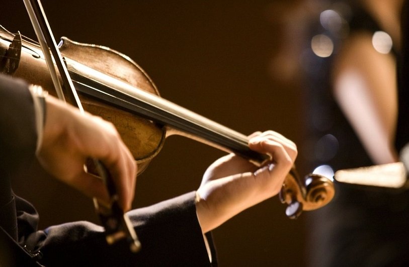 قیمت ویولن در بازار؛ ارزان‌ترین مدل چند؟