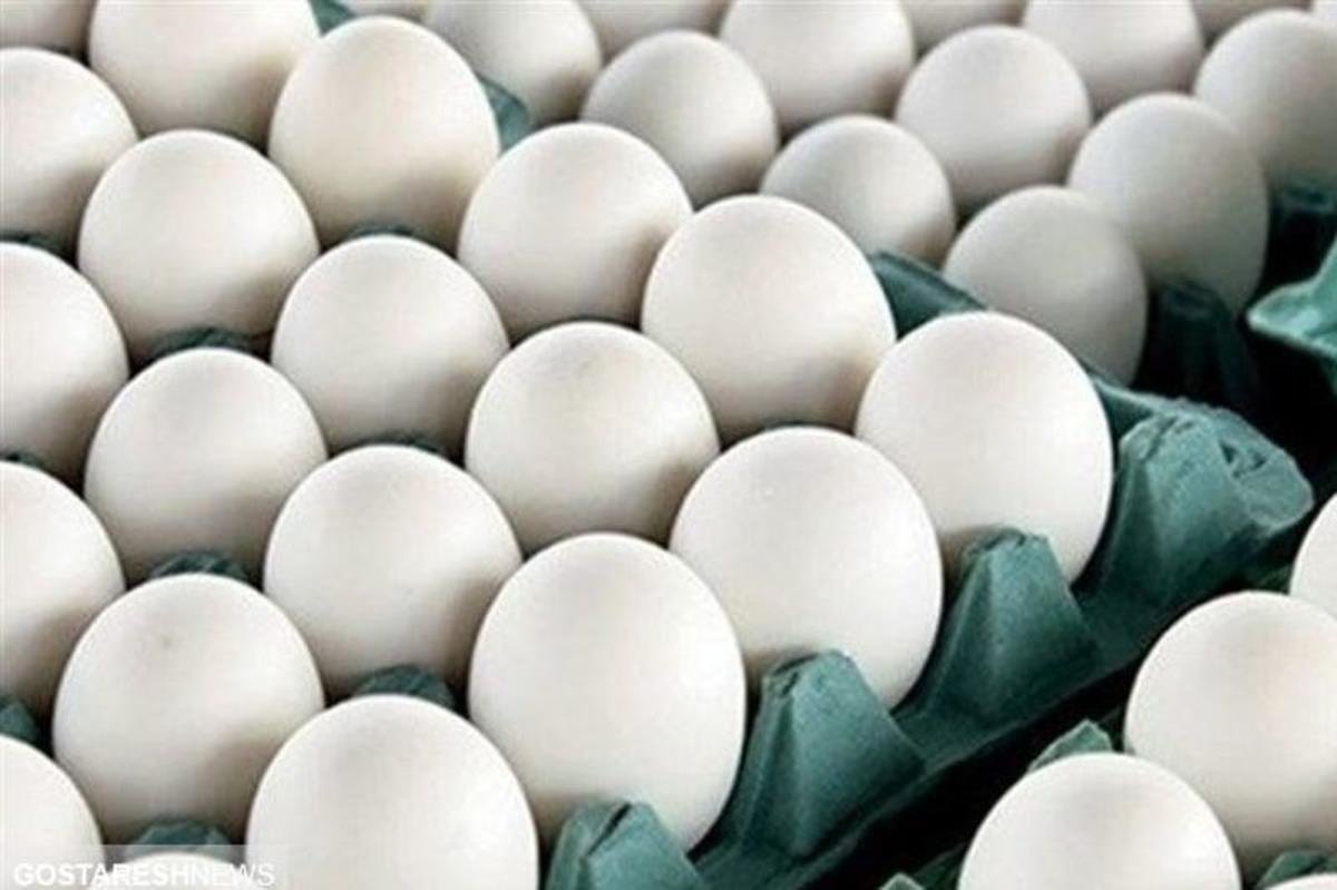 قیمت تخم مرغ امروز ۳۰ تیر / تخم مرغ محلی چند؟ (جدول)