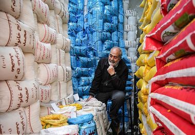 بحران در بازار برنج؛ چرا قیمت‌ها پایین نمی‌آید؟