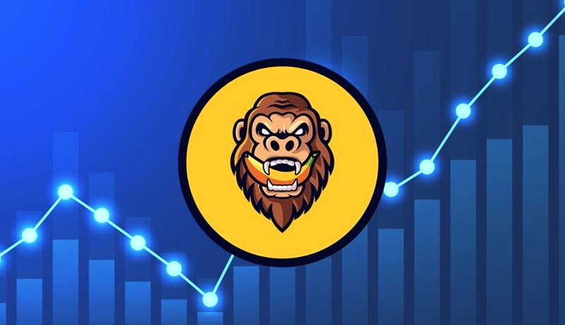 گوریل همچنان در حال صعود