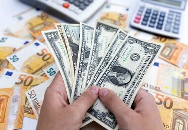 نوسانات بازار ارز زودگذر است/ افزایش قیمت دلار دلایل اقتصادی ندارد