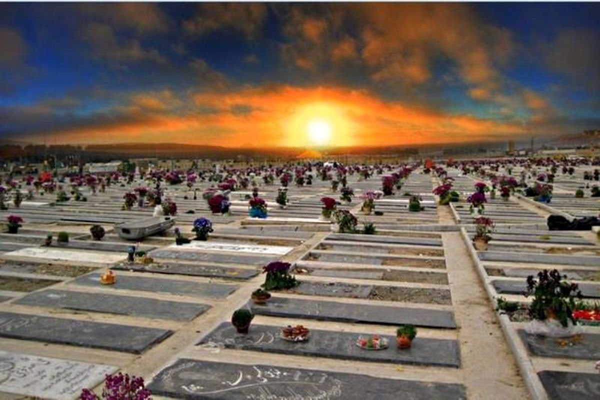 نذر دلار در لاکچریترین قبرستان ایرانی