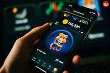 کد مورس همستر کامبت امروز جمعه 30 شهریور 