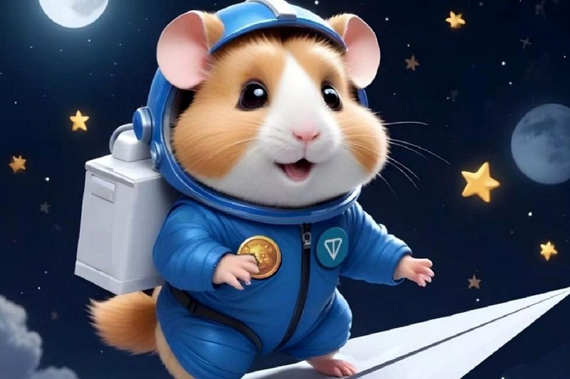 کد مورس همستر 13 تیر اعلام شد + راهنمای وارد کردن