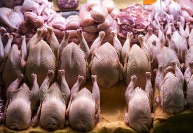 قیمت مرغ امروز چهارشنبه 20 فروردین/ فیله و سینه پیشتاز گرانی