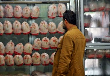 قیمت مرغ امروز 12 اردیبهشت/ فیله کیلویی 206 هزار تومان