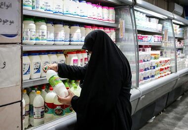 لبنیات، روغن و تخم‌مرغ ارزان‌ در راه بازار