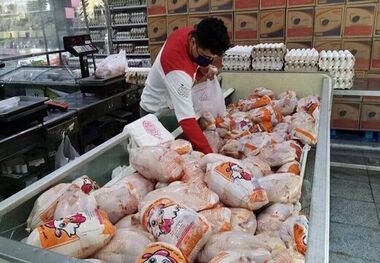قیمت گوشت مرغ، امروز ۱۲ اسفند ۱۴۰۲