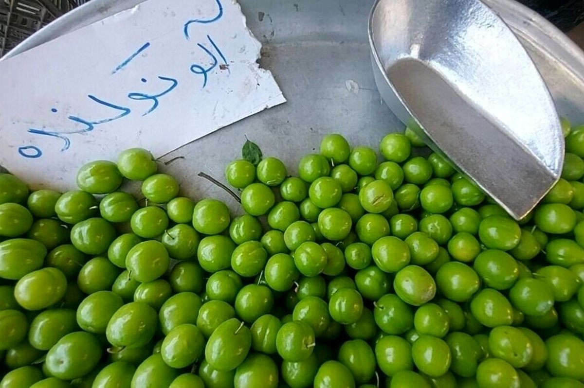 گوجه سبز نجومی شد