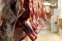 قیمت گوشت قرمز امروز دوشنبه 1 اردیبهشت/ فیله گوسفندی کیلویی چند؟