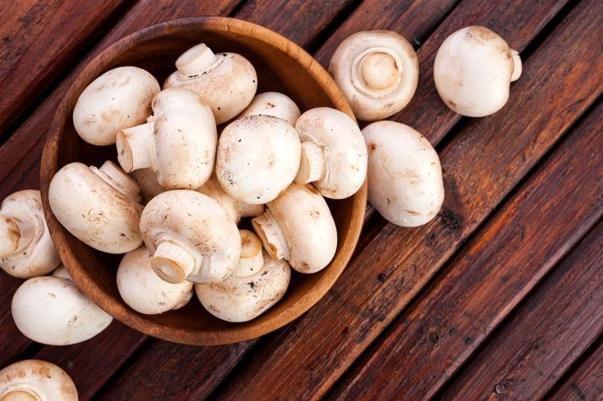 قیمت قارچ مشخص شد/ قارچ بسته‌بندی 54 هزار