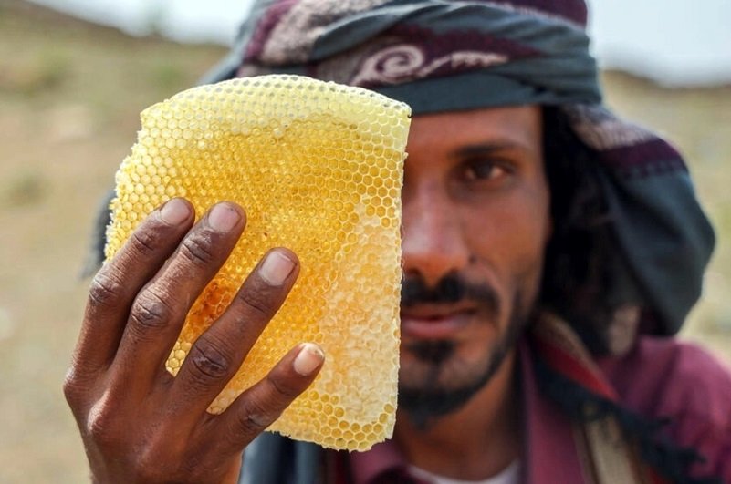 قیمت باورنکردنی عسل؛ یک کیلو سه میلیون و 500