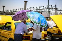 راهکار ساده برای کاهش هوای داغ خودرو در تابستان/ بدون کولر خنک شوید