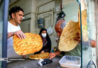کیفیت نان زیر سایه یارانه دستوری