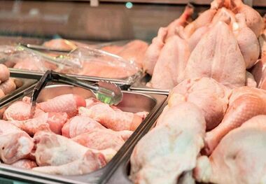 قیمت گوشت مرغ امروز ۳ اردیبهشت ۱۴۰۳
