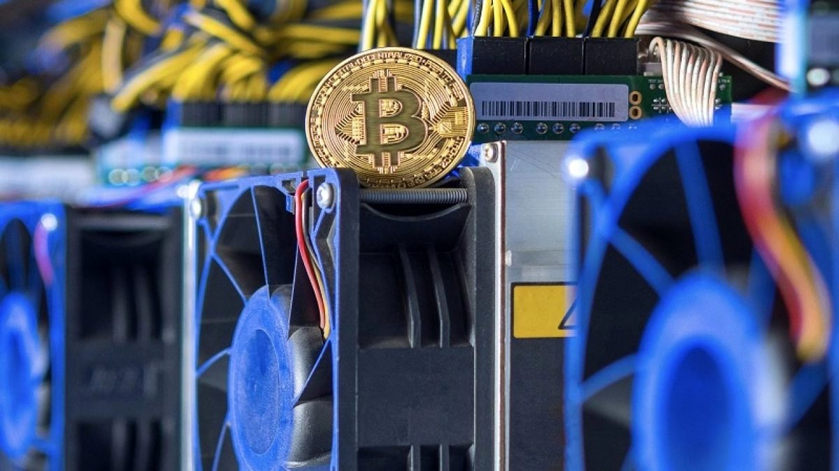 ضرب‌شصت به متخلفان حوزه رمزارز