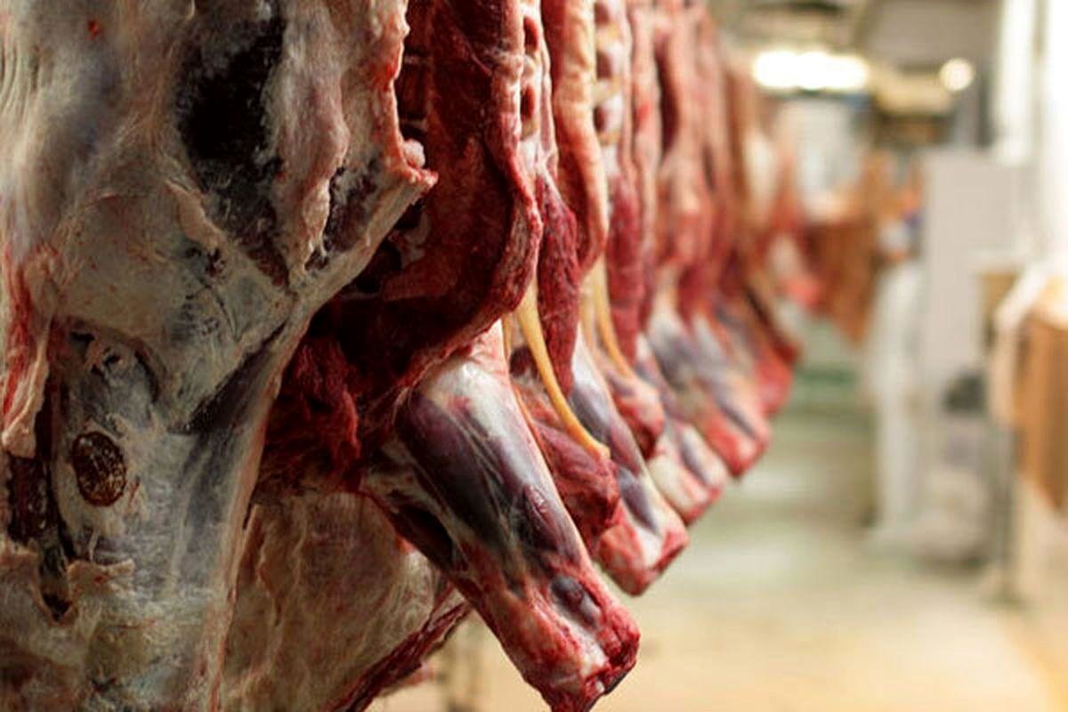 قیمت گوشت قرمز امروز 8 شهریور/ فیله گوسفندی چند؟