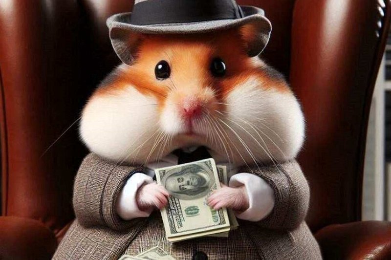 کارت‌های همستر 15 شهریور منتشر شد