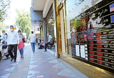 واکنش سخنگوی دولت به فعل‌وانفعالات مشکوک بازار ارز 
