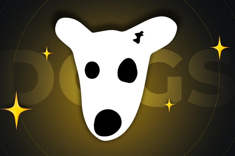 پیش بینی قیمت داگز؛ داگز به تومان چقدر است؟